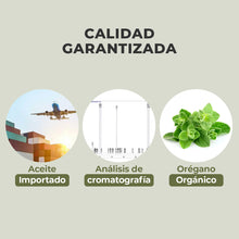 Cargar imagen en el visor de la galería, Cápsulas de Aceite de Orégano - 60 Caps