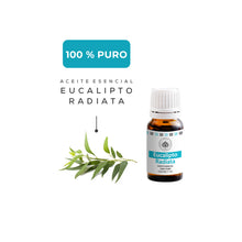 Cargar imagen en el visor de la galería, Aceite Esencial Eucalipto Radiata