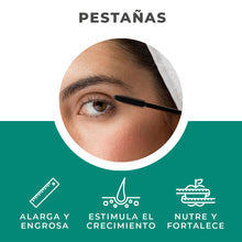 Cargar imagen en el visor de la galería, Kit Aceite de Ricino + Aplicador Pestañas SKU: 7502306461088