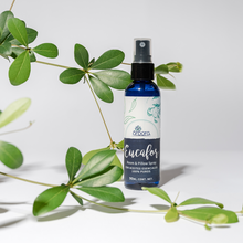 Cargar imagen en el visor de la galería, Eucafor Spray