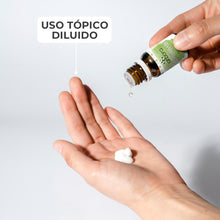 Cargar imagen en el visor de la galería, Aceite Esencial Lemongrass 11 ml
