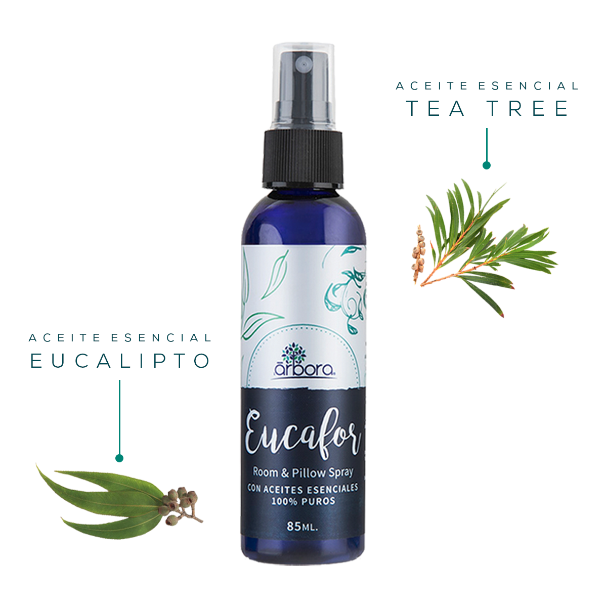 Aceite Esencial Eucalipto Radiata – Arbora Store
